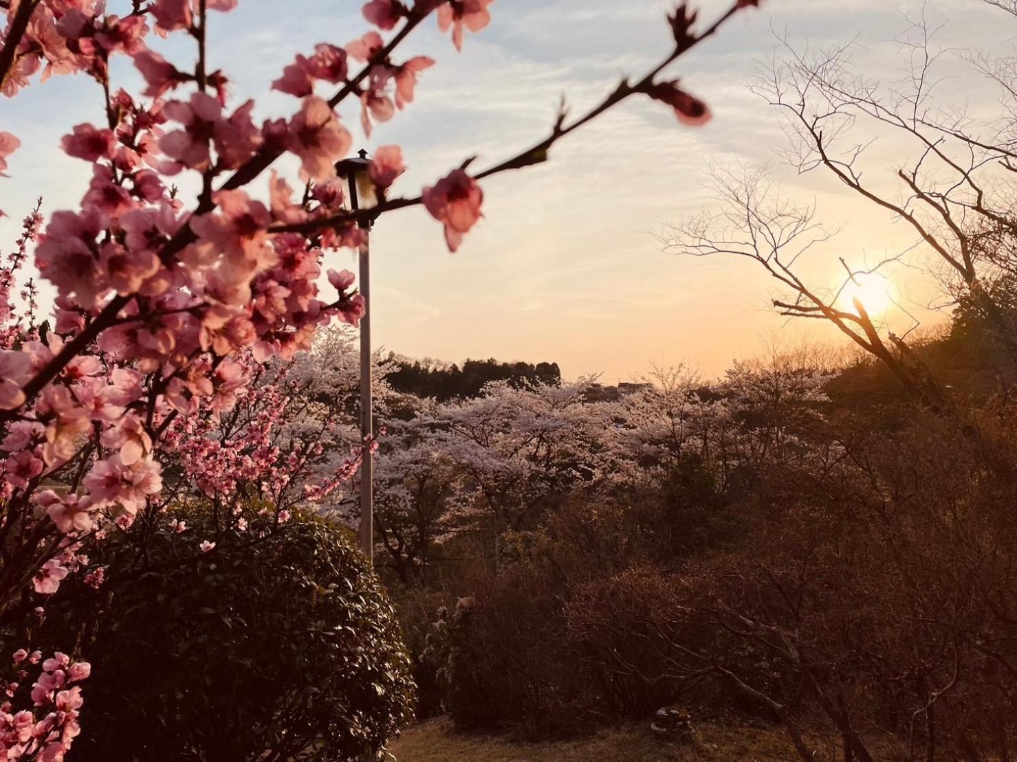 Hotel Granping ng が mi no Du Nakatsugawa Exteriér fotografie